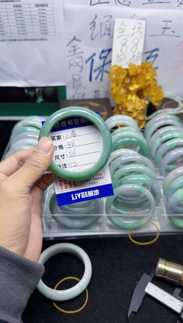 未镶嵌手镯翡翠上*12