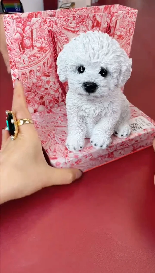 瓷片别算了真划算@@XQ2228