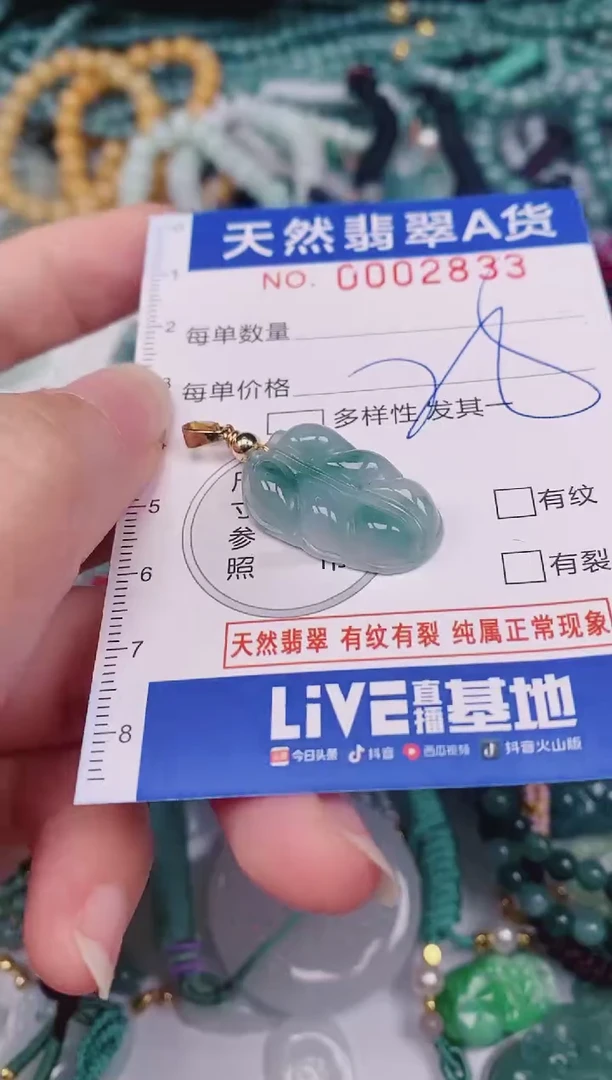 颈饰未镶嵌翡翠00002833