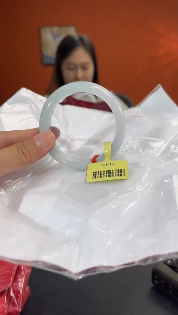 未镶嵌手镯翡翠9