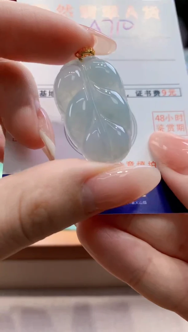 颈饰未镶嵌翡翠天然翡翠挂件