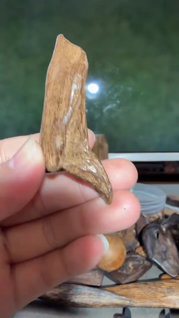 沉香吊坠多样性发一