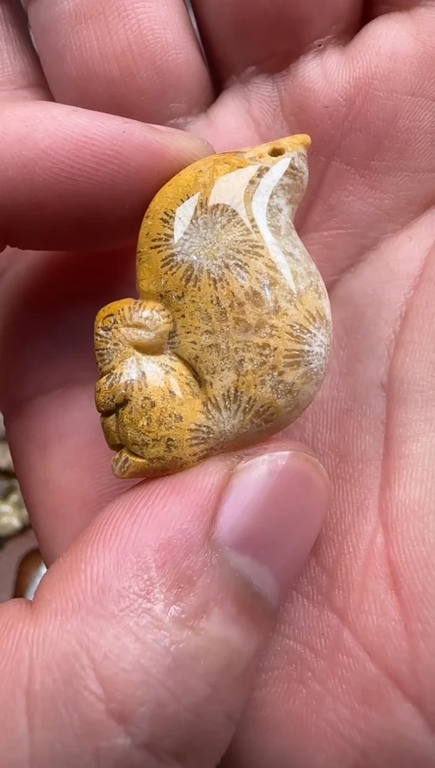 【闪购商品】硅化珊瑚（珊瑚玉）颈饰未镶嵌567