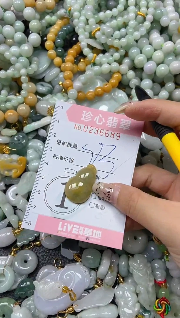 翡翠未镶嵌颈饰闪购0236689