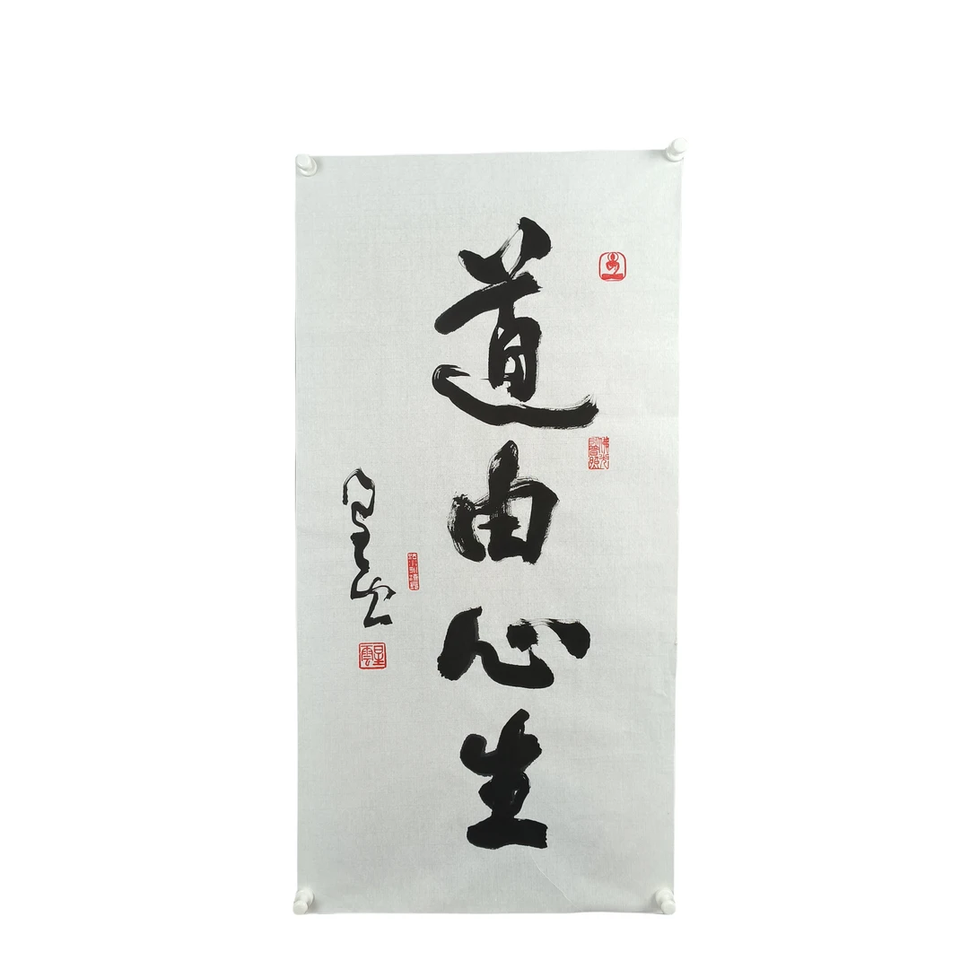 d216  书法 软片 尺寸50*99 约 5平尺