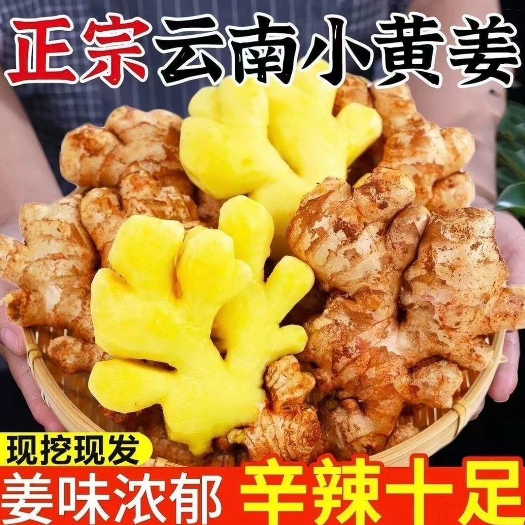 老姜巨划算小黄姜生姜高山老姜土姜月子姜小黄姜现发