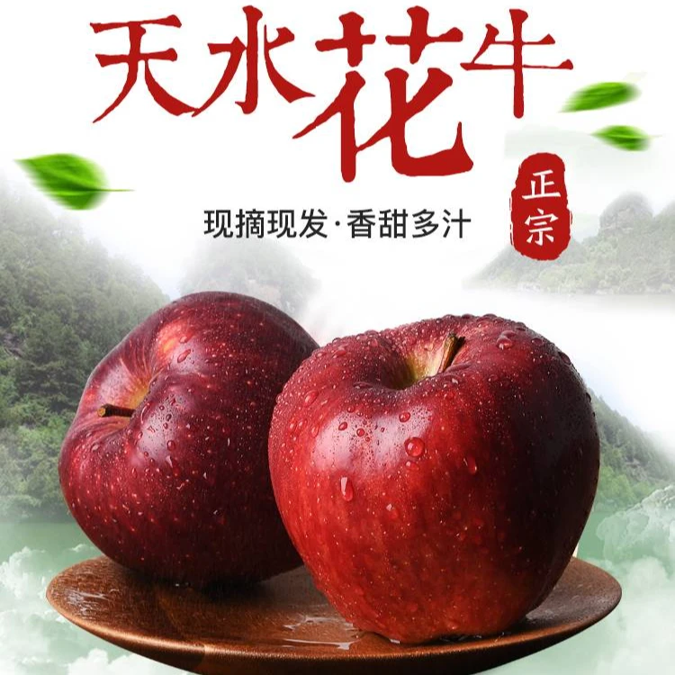 甘肃天水花牛苹果新鲜多汁自然成熟脆粉两吃产地直发