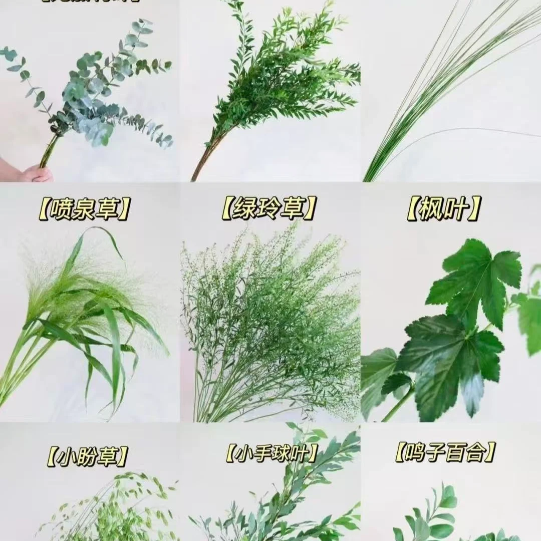 【凑单福利配草】任意两单及两单以上鲜花顺丰包邮发货