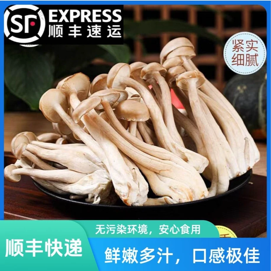 【顺丰京东包邮】新鲜鹿茸菇精选深山采摘超值装煲汤炖汤食用菌