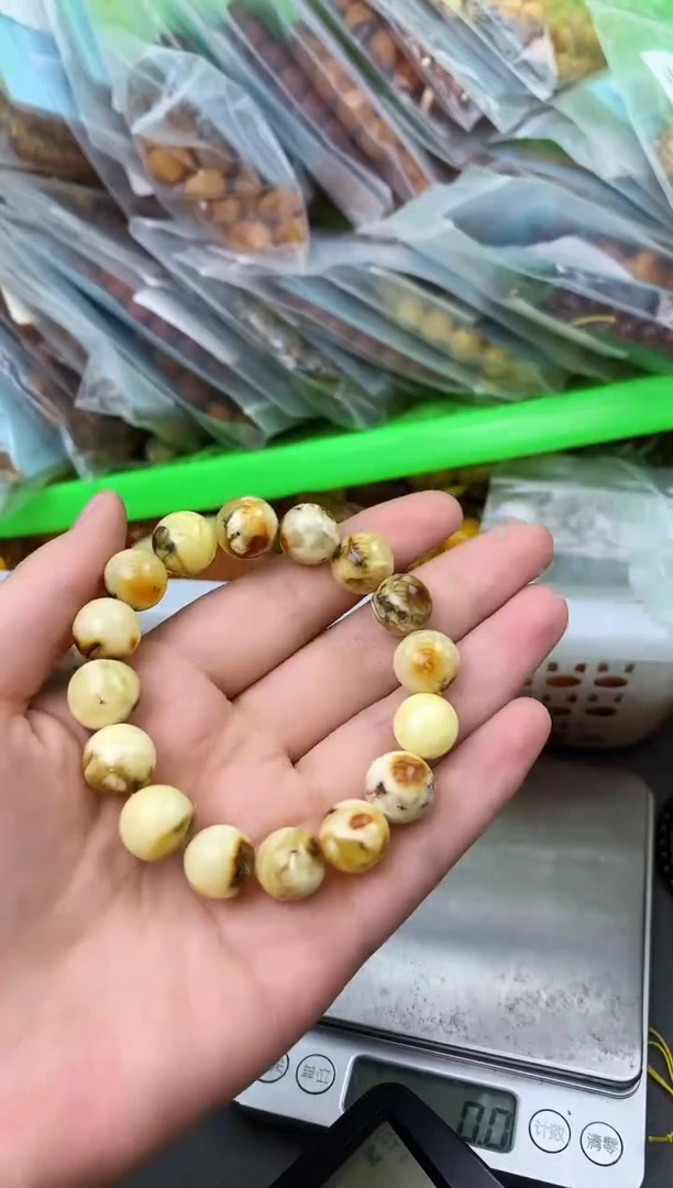 【闪购商品】琥珀珠宝奇石未镶嵌841233