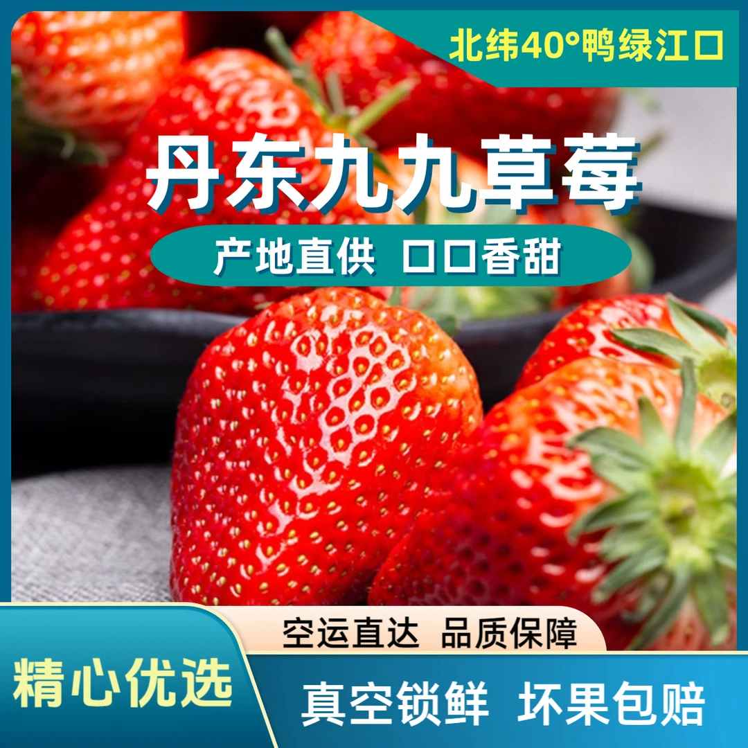 正宗丹东九九草莓产地直发现摘现发空运直达