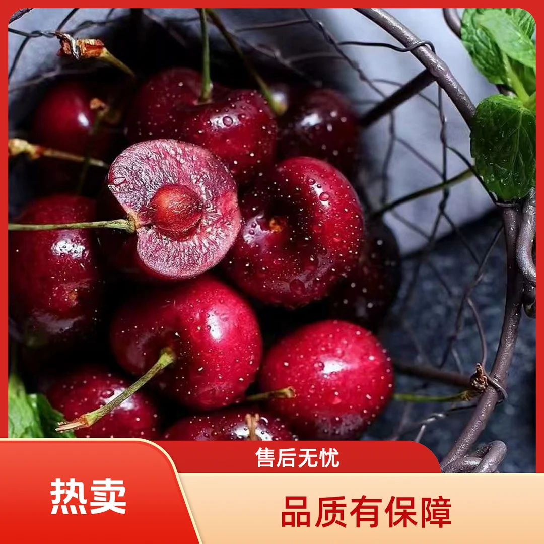 智利海运新鲜车厘子3JD-4JD包邮内附果径卡（JHYS21)