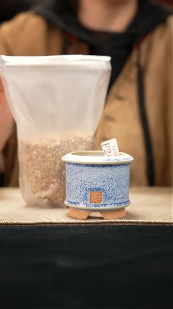 口径花盆-11-27-248s送麦饭石