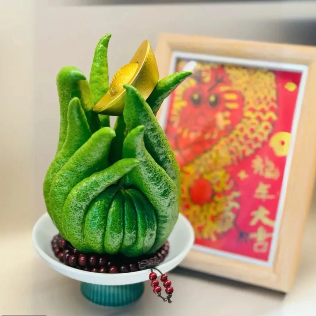 新鲜川佛手柑（小果）