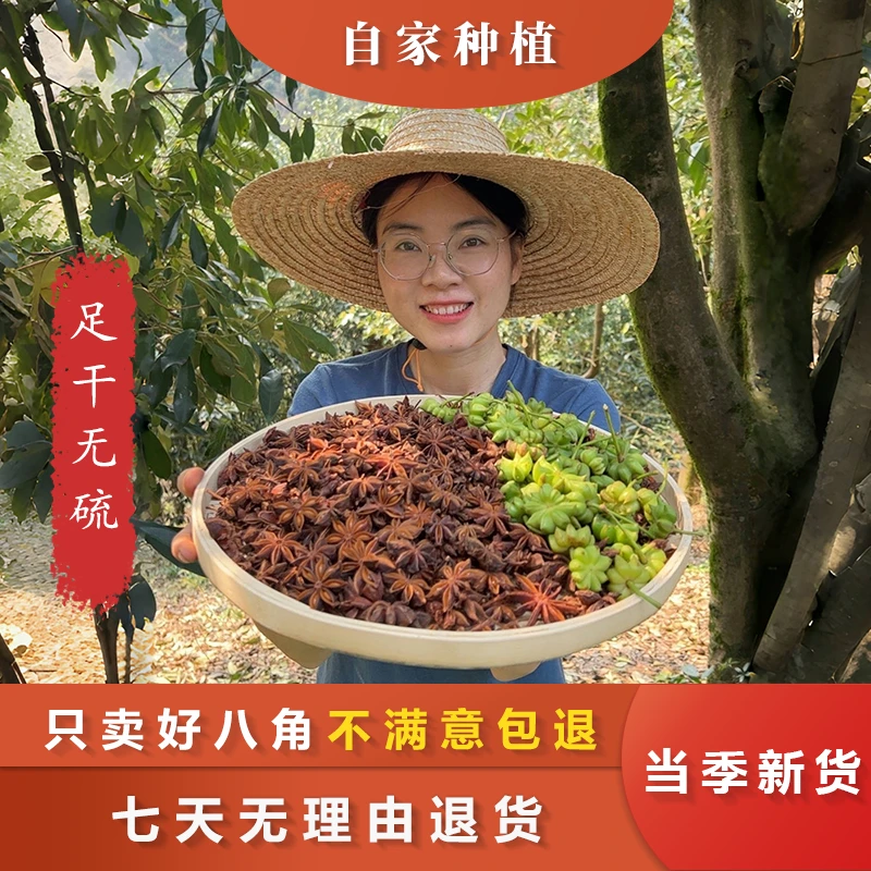大红八角-广西深山老树八角足干无硫香料调味料(农产品有大有小)