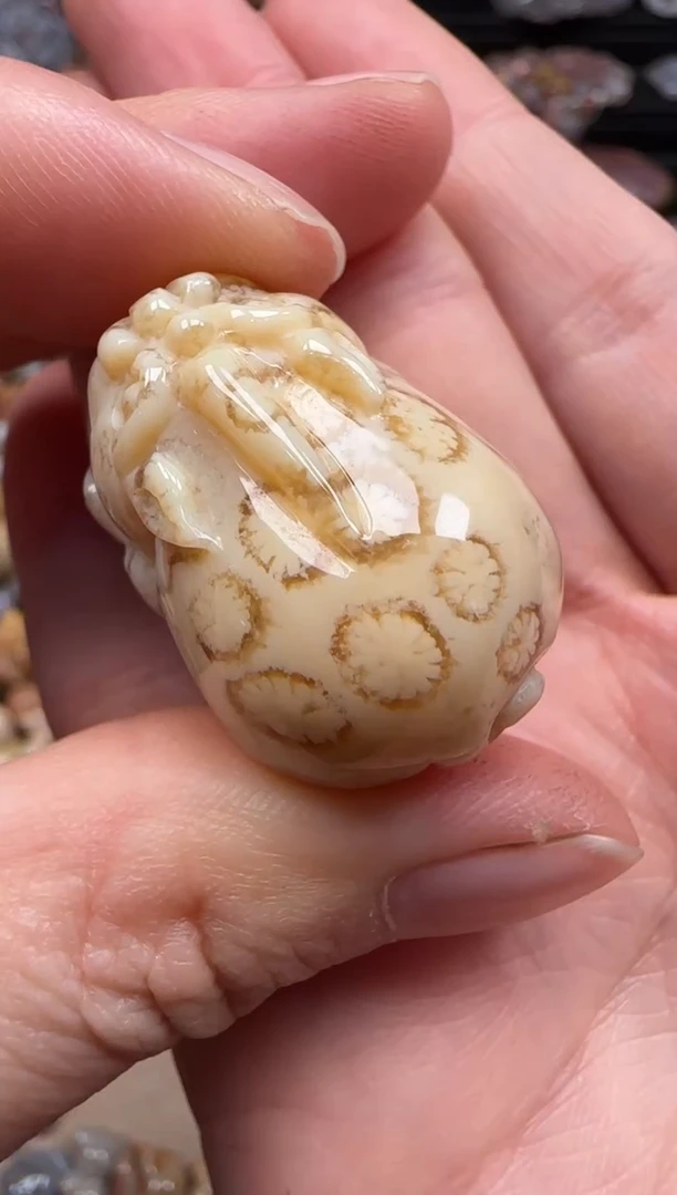 【闪购商品】硅化珊瑚（珊瑚玉）颈饰未镶嵌228