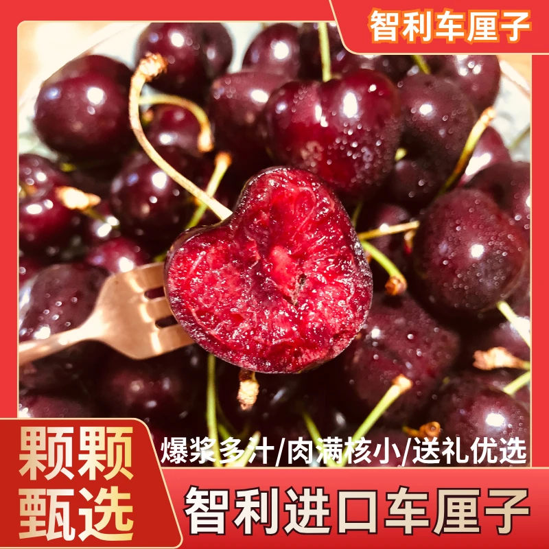 【顺丰次日达】智利空运进口车厘子  3JD粉丝升级发货内附果径卡 200g-2000g礼盒包装 W18桑提娜樱桃智利共和国