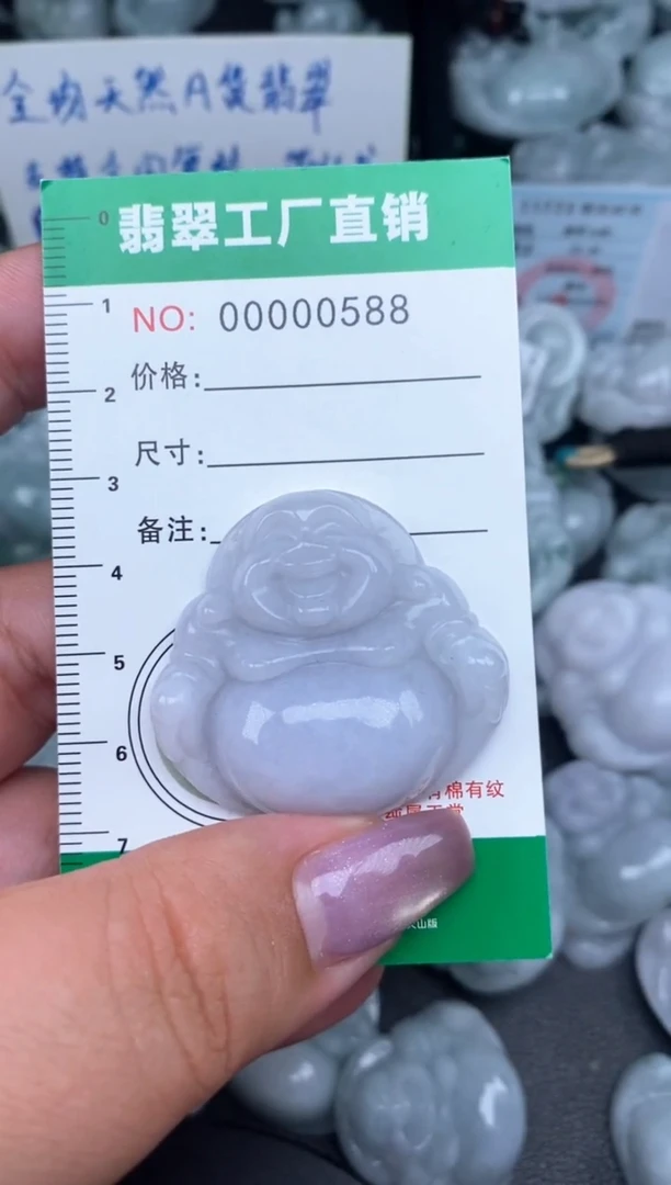 翡翠未镶嵌颈饰缅甸天然A货翡翠0588