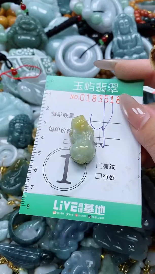 翡翠未镶嵌颈饰闪购0183518