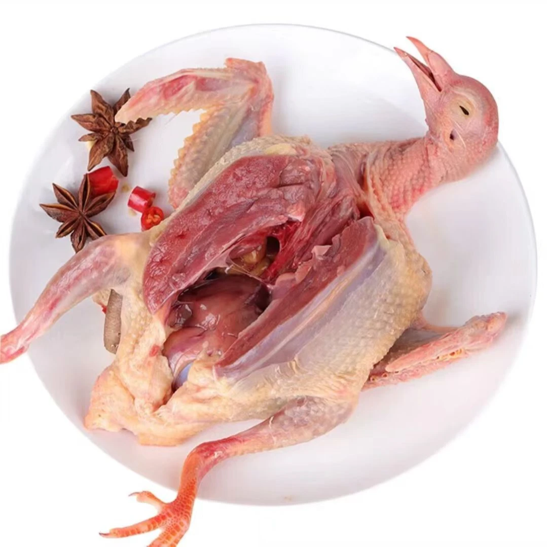 散养农家鸽子新鲜宰杀速冻发货