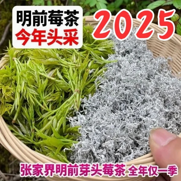 少量！2025年清明芽头！湖南张家界原产高山朵芽莓茶250g正宗莓茶