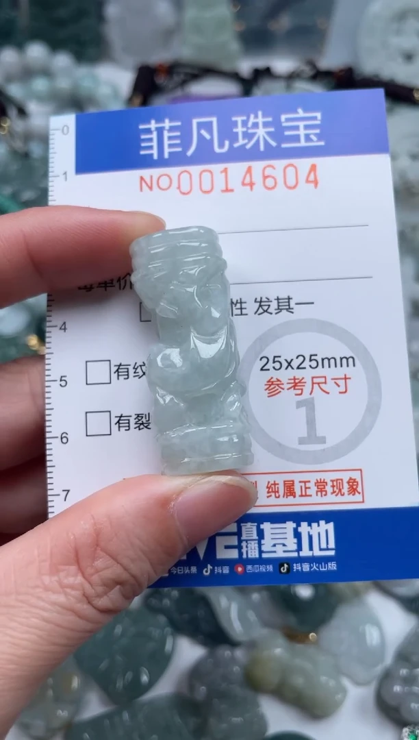 颈饰未镶嵌翡翠14604