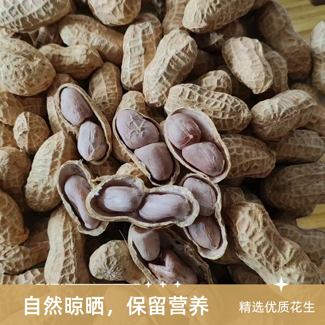 包邮2025年本地水煮晒干咸干花生带壳软糯鲜甜入味好吃不上火