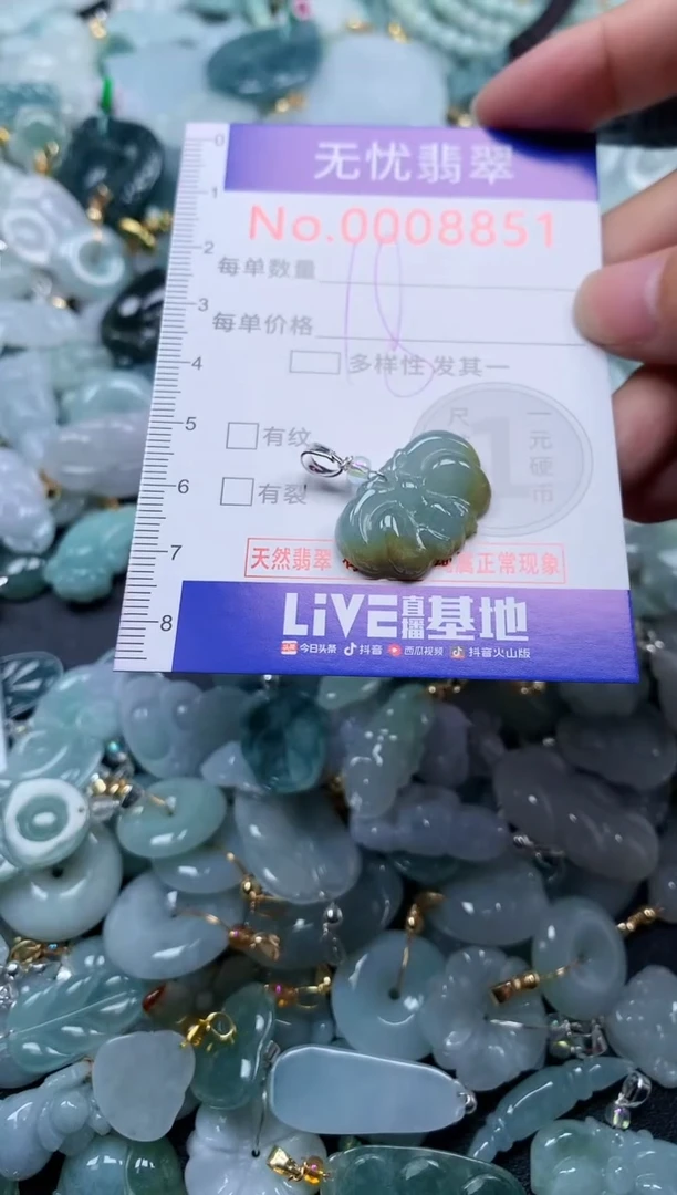 颈饰未镶嵌翡翠8851