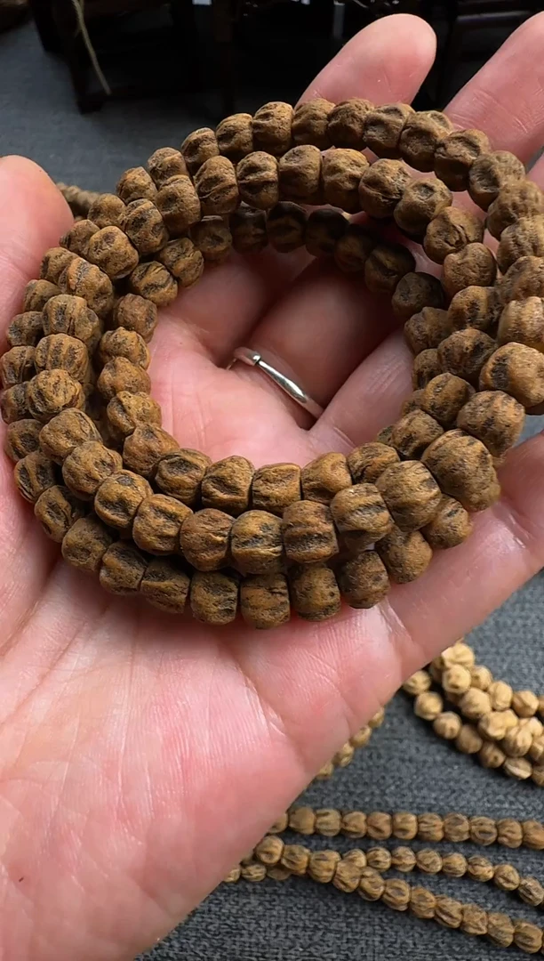 吊坠柏香籽/百香籽v*n红皮尸陀林