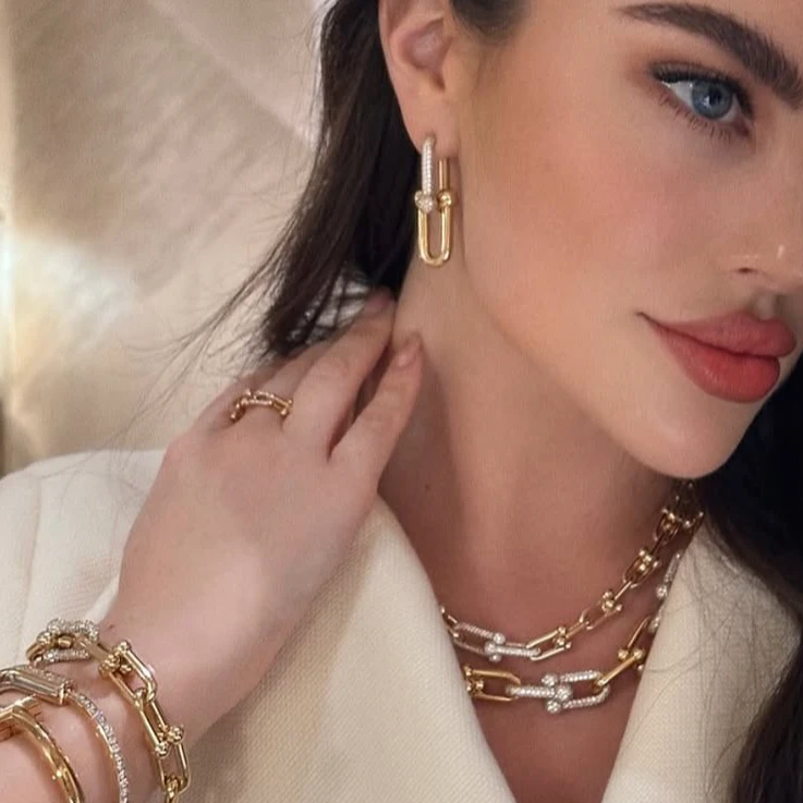 钛钢项链 钛钢复古经典金色ins马蹄项链手链耳环