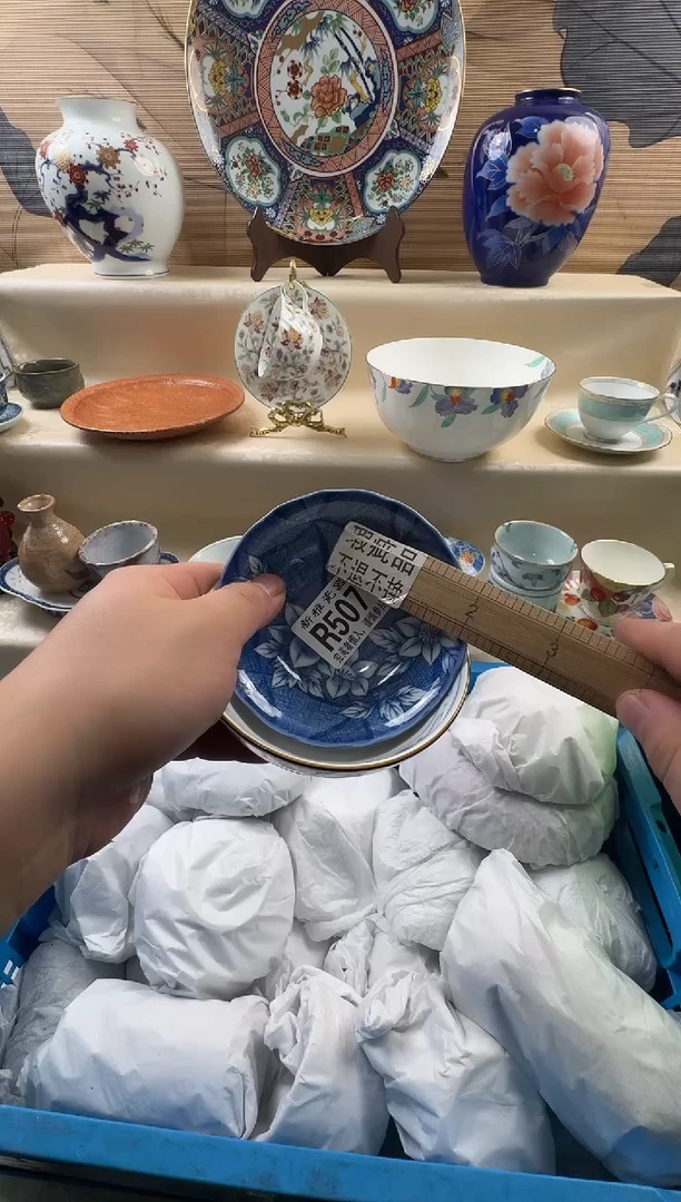 瓷片L**a         R509