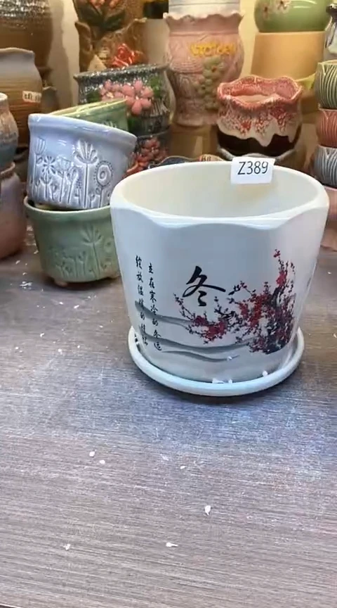 @@陶瓷多肉花盆Z389