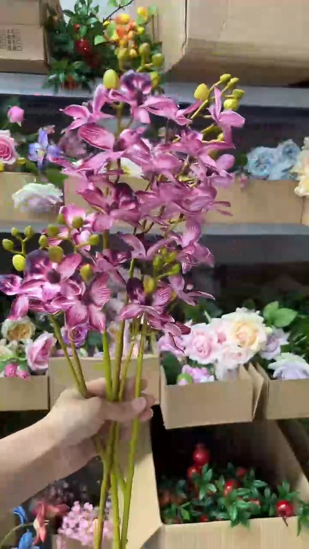 3枝酒红色手感保湿千鸟兰