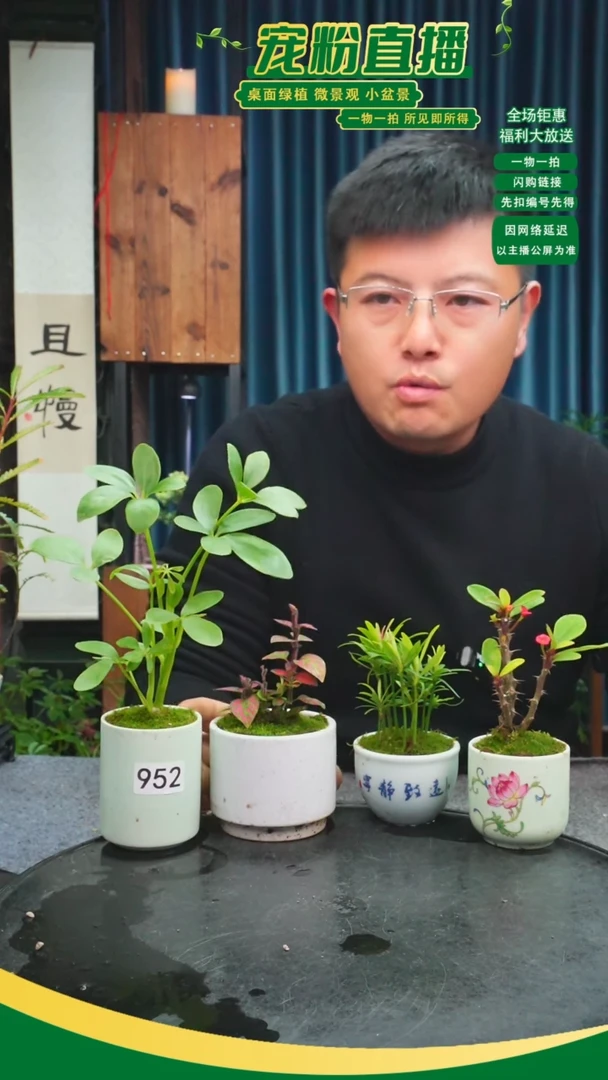 无花朵往****～苔藓微景观952号