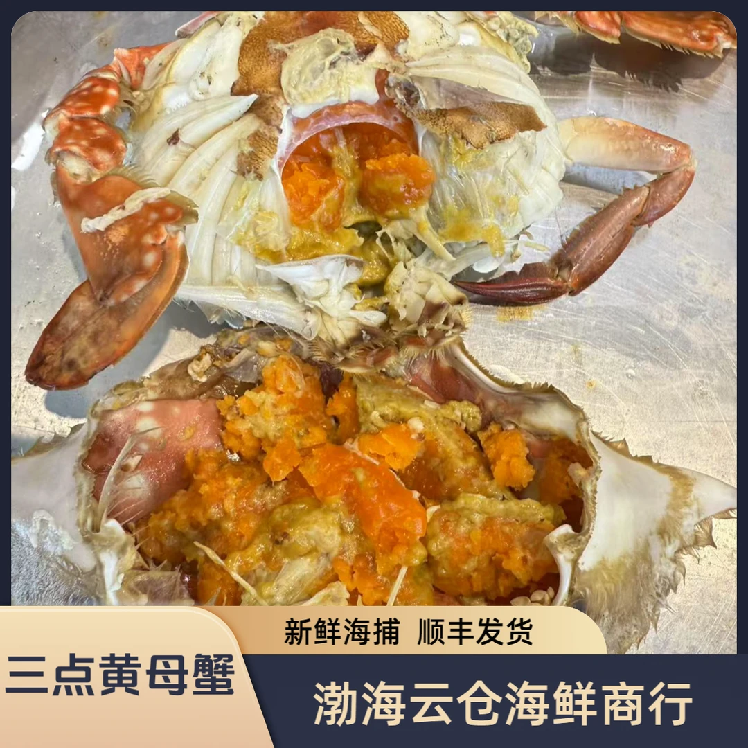 【三点红母蟹】母蟹梭子蟹 3两左右/只  2斤【保鲜不保活】