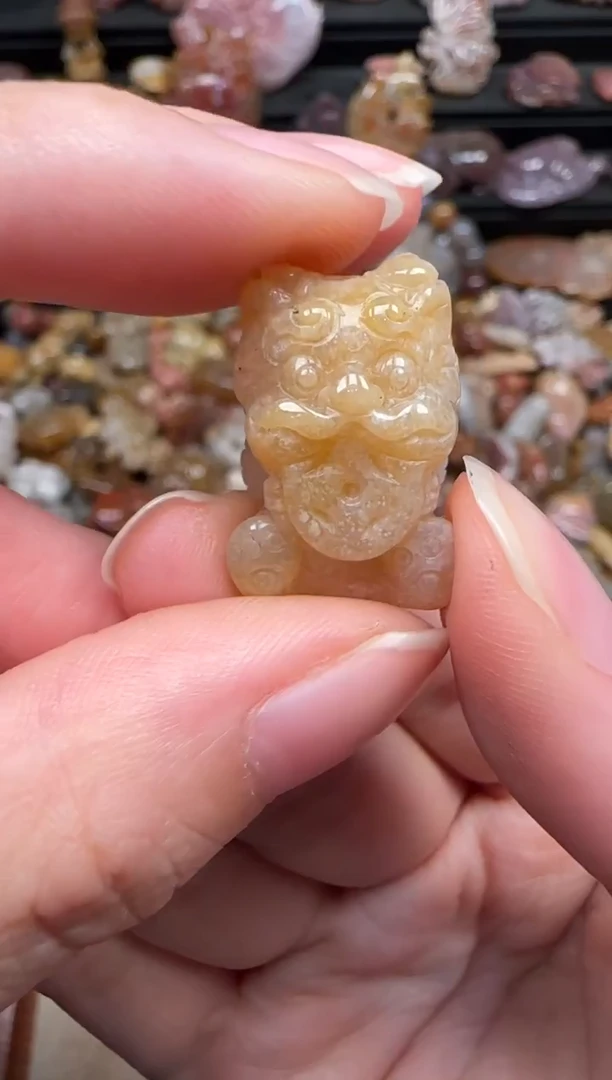 颈饰未镶嵌硅化珊瑚（珊瑚玉）227