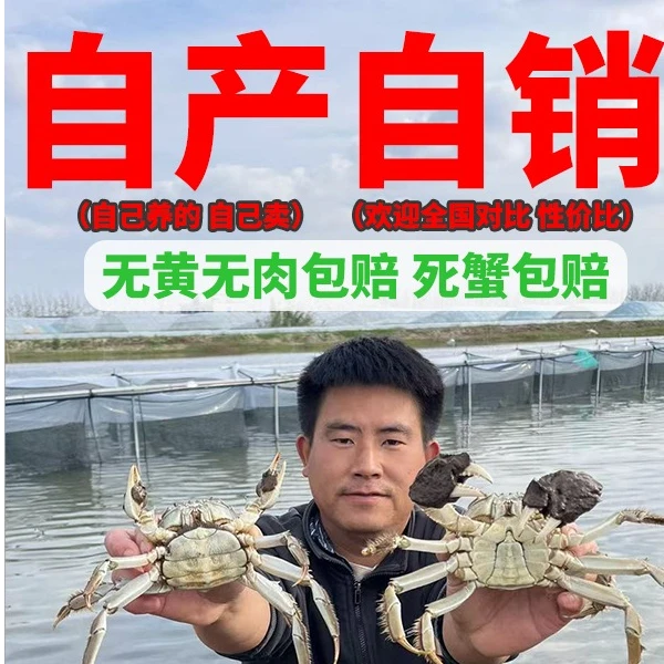 【活蟹】江苏大闸蟹河蟹3斤装规格2.5两母蟹起母蟹7-11只