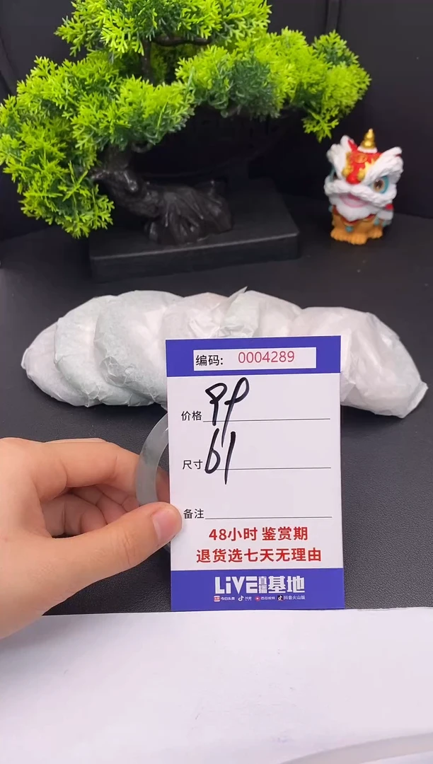 未镶嵌手镯翡翠0004289