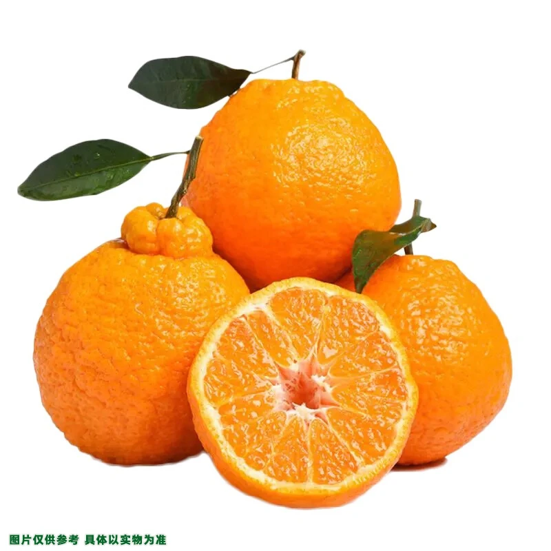 【散】耙耙柑 约1000g±50g/份