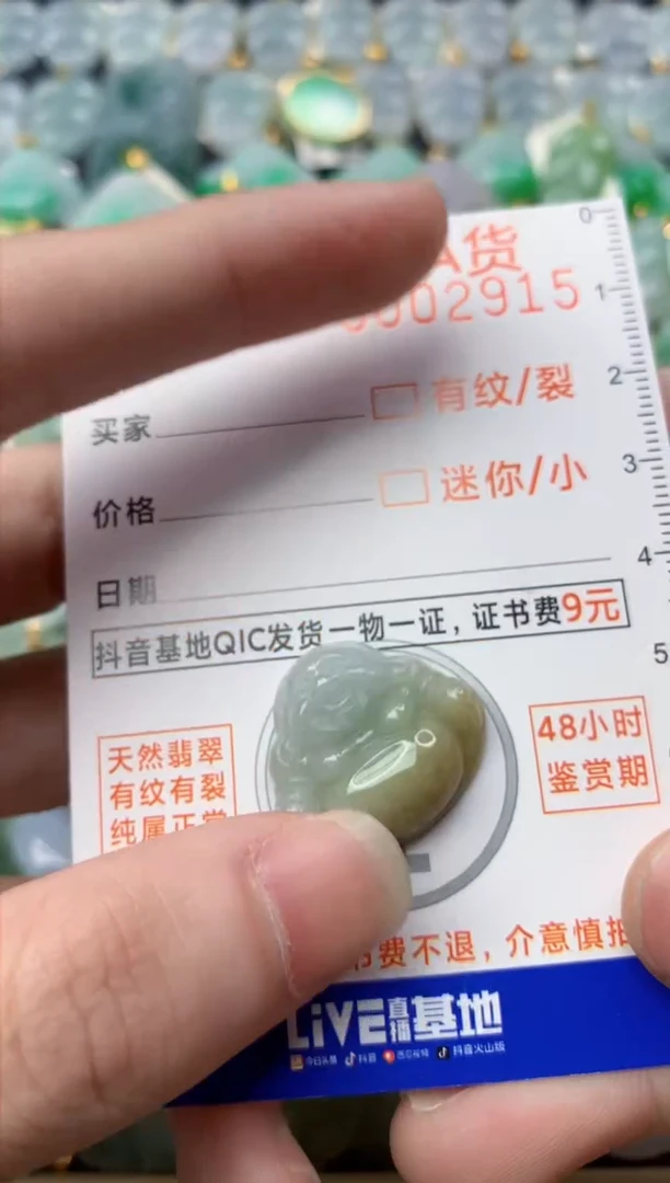 【闪购商品】翡翠颈饰未镶嵌63........