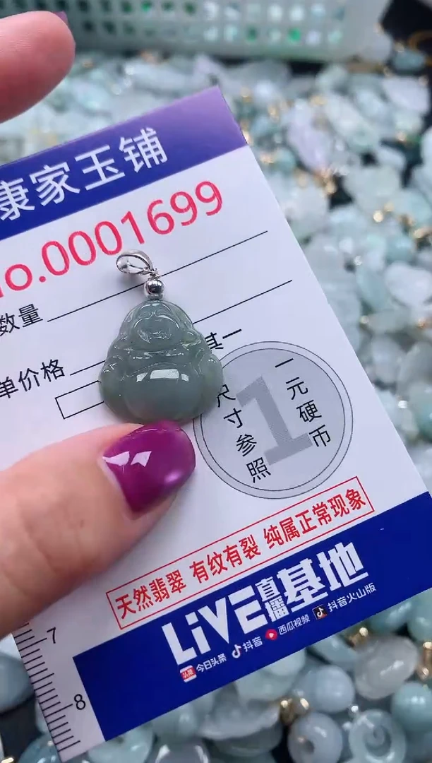 颈饰未镶嵌翡翠1699