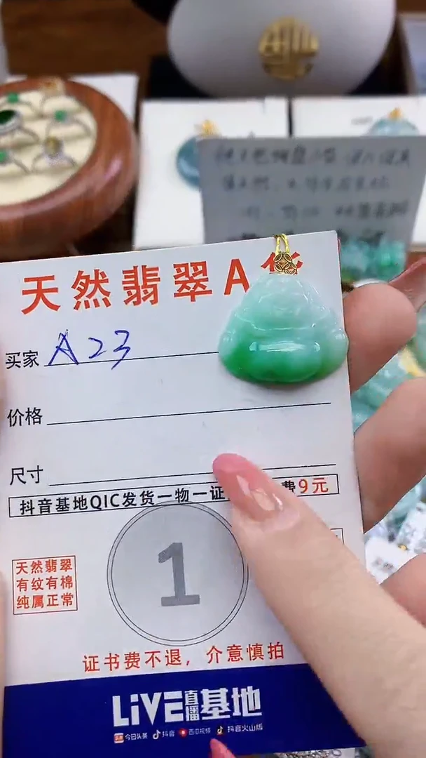 颈饰未镶嵌翡翠天然A货翡翠挂件