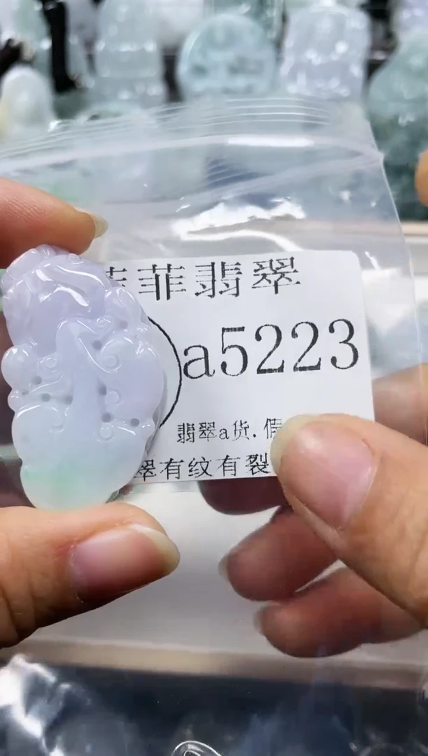 【闪购商品】翡翠颈饰未镶嵌闪购5223