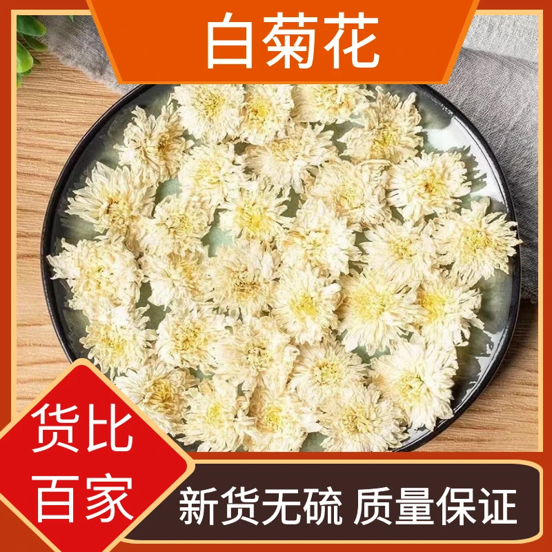 精选白菊花正品杭白菊菊花泡茶泡水新鲜干货自然晒干散装包邮叶菜
