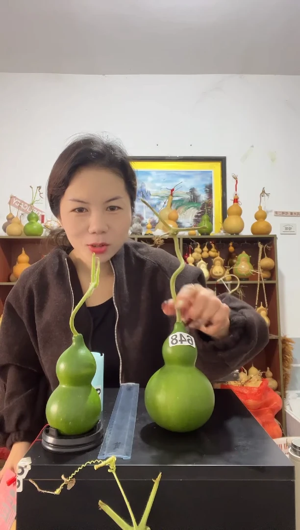 648天然葫芦摆件 一物一拍龙头不保售后