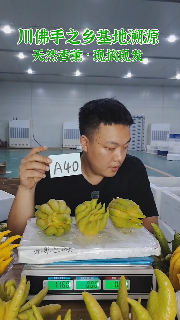 柑橘【一物一拍】川佛手柑鲜果A40