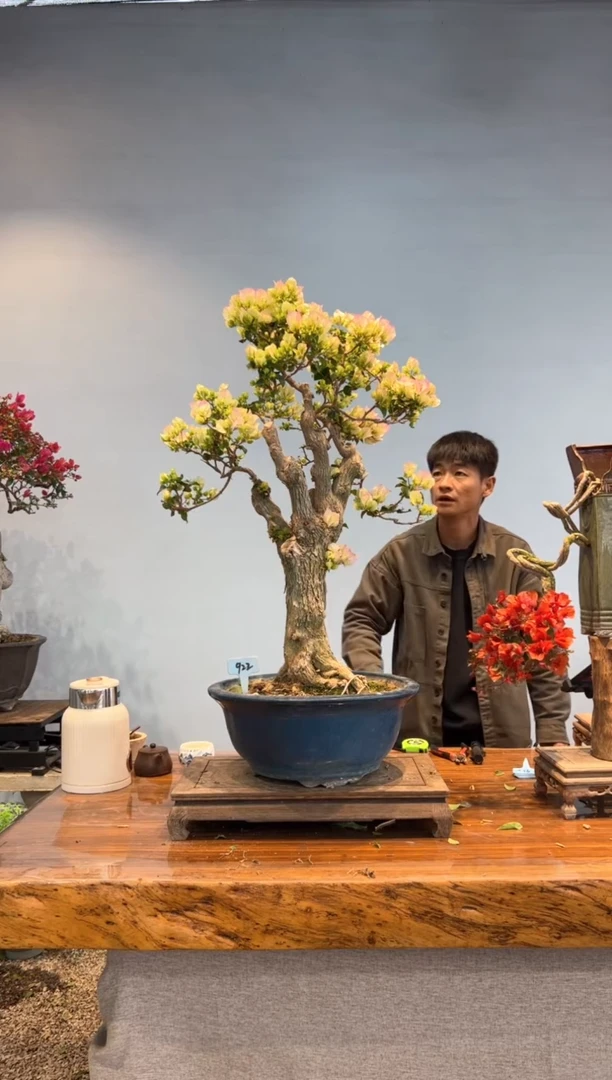 【闪购商品】aa922