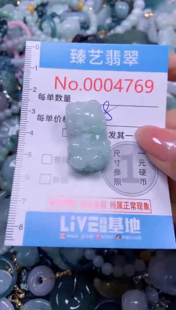 颈饰未镶嵌翡翠4769