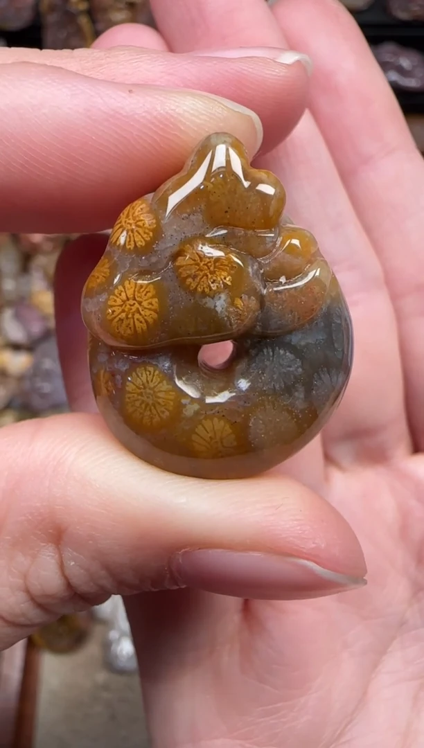 颈饰未镶嵌硅化珊瑚（珊瑚玉）591