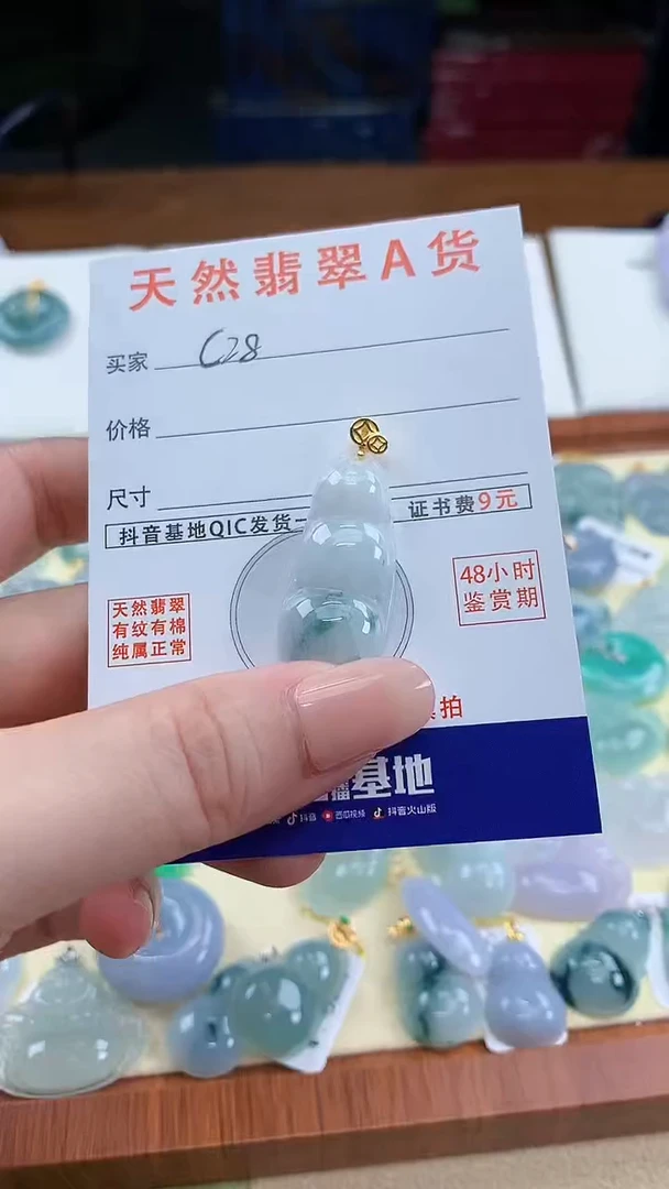 颈饰未镶嵌翡翠天然A货翡翠挂件